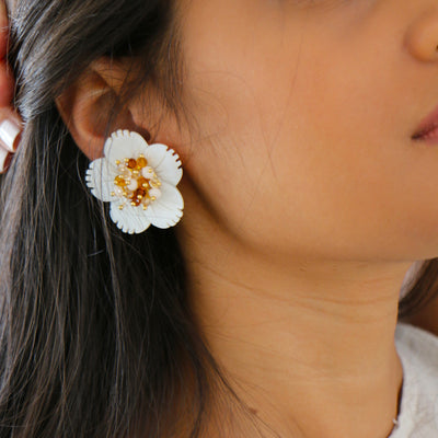 ARETES NACAR